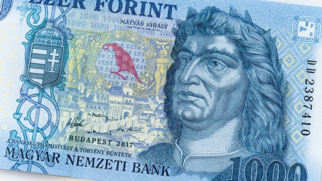 ezer forint vizitdíj