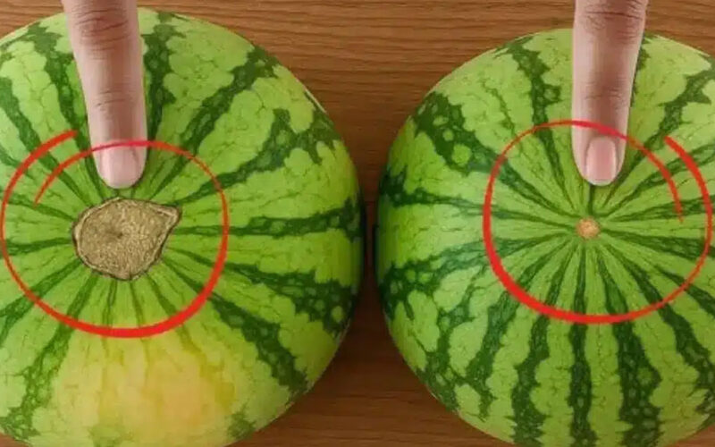 Itt vannak a görögdinnye vásárlás aranyszabályai