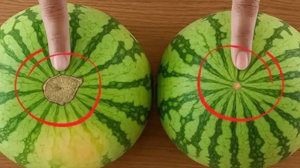 Itt vannak a görögdinnye vásárlás aranyszabályai