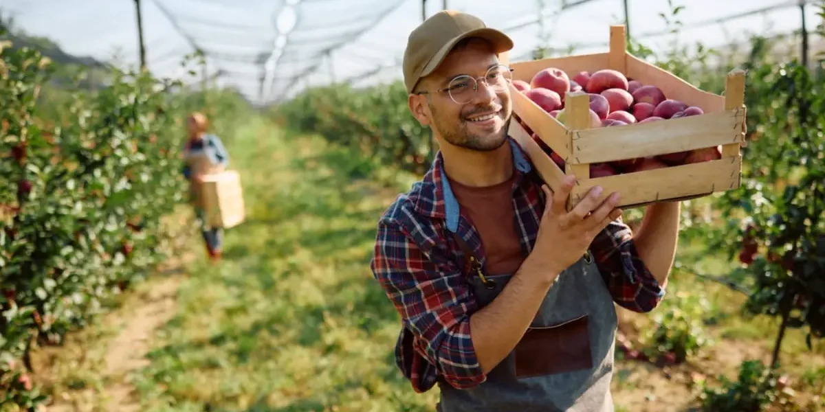 Egyszerűsített foglalkoztatás 2026