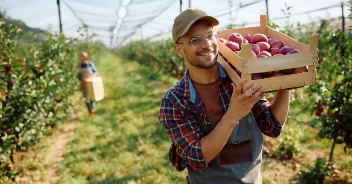 Egyszerűsített foglalkoztatás 2026
